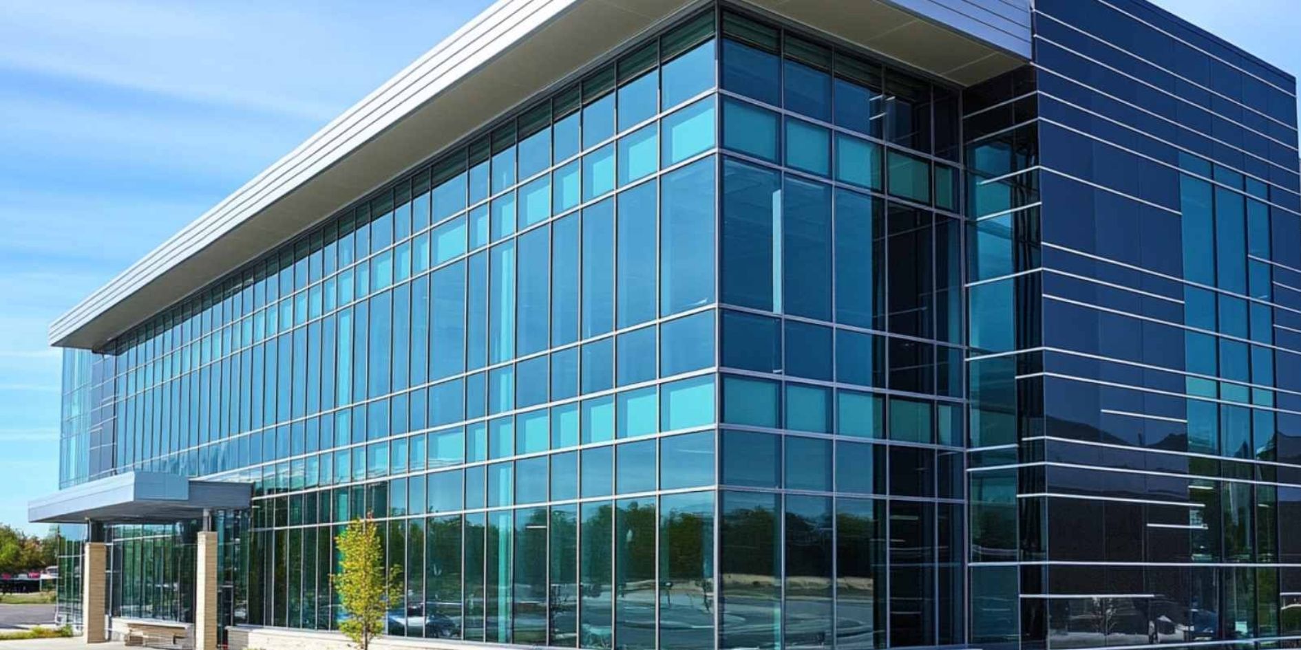 Glass Protection Film